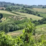 Hvor skal familien rejse hen til sommer? Her er 5 gode bud